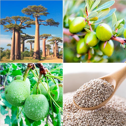 4種のボタニカル美容オイル