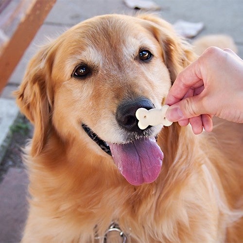 那須温泉 ホテルエピナール那須「こなす」