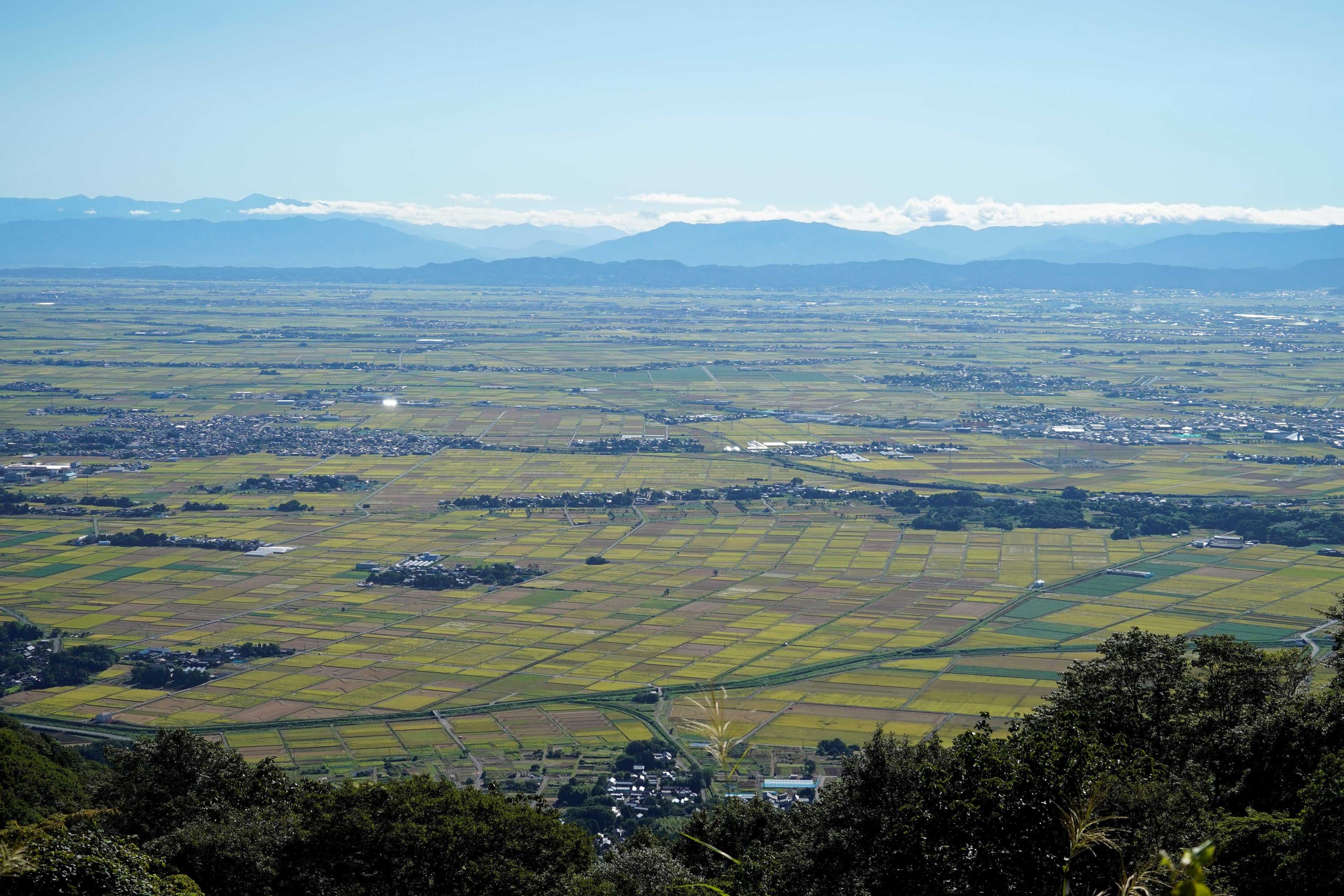 頂上から見える広大な越後平野