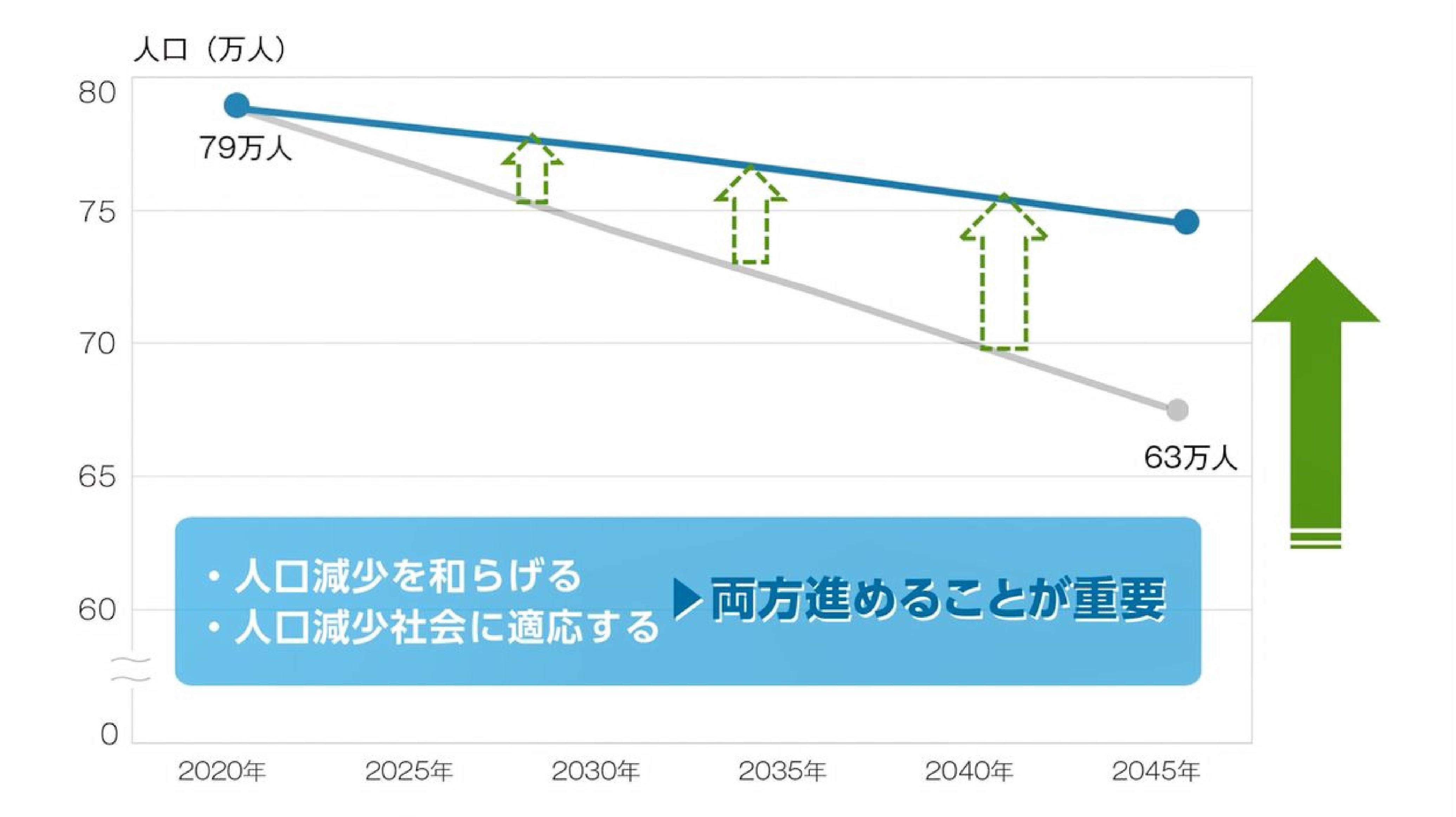 人口減少対策（人口減少を和らげる・人口減少社会に適応する）