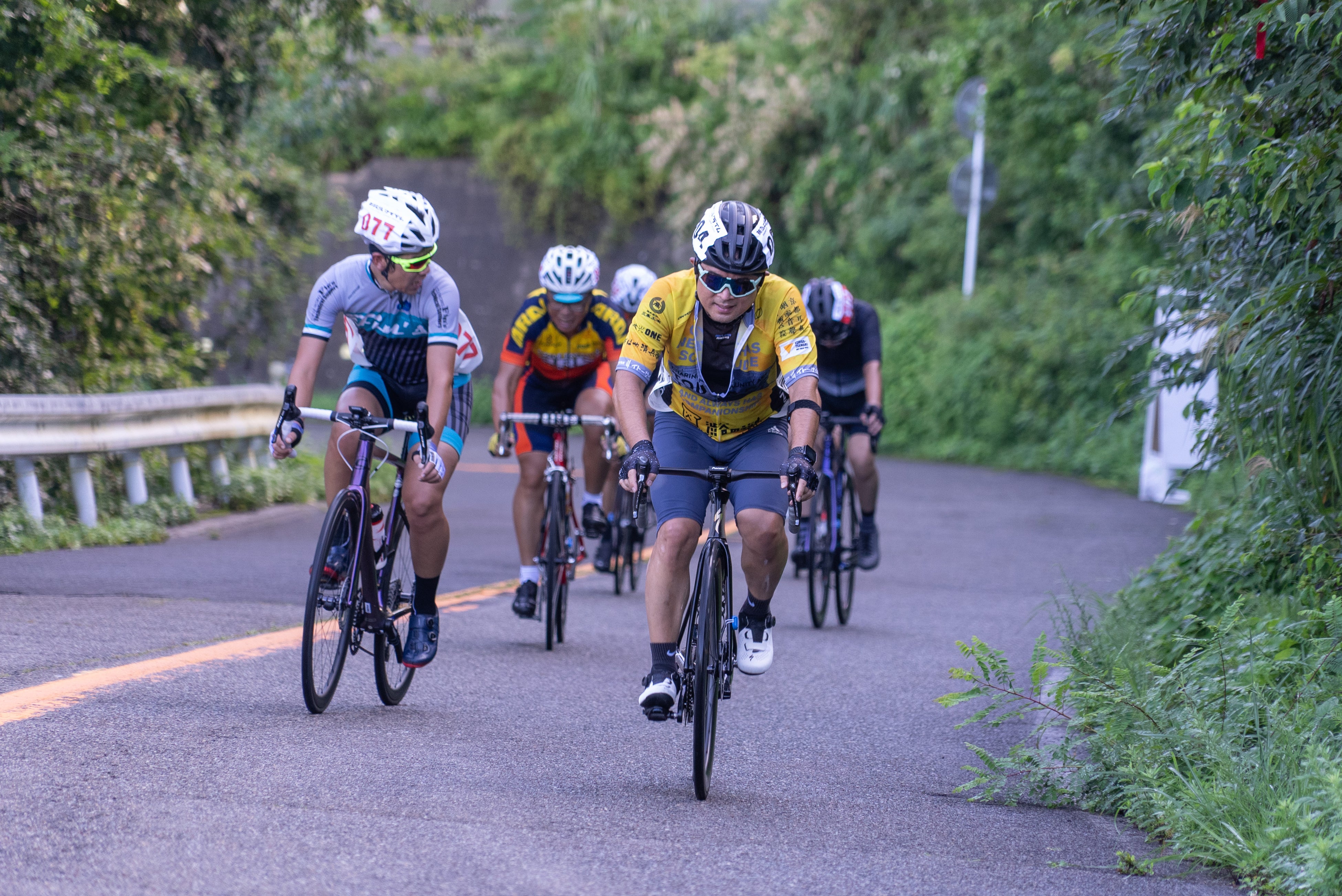 標高634mの弥彦山を駆け上がる