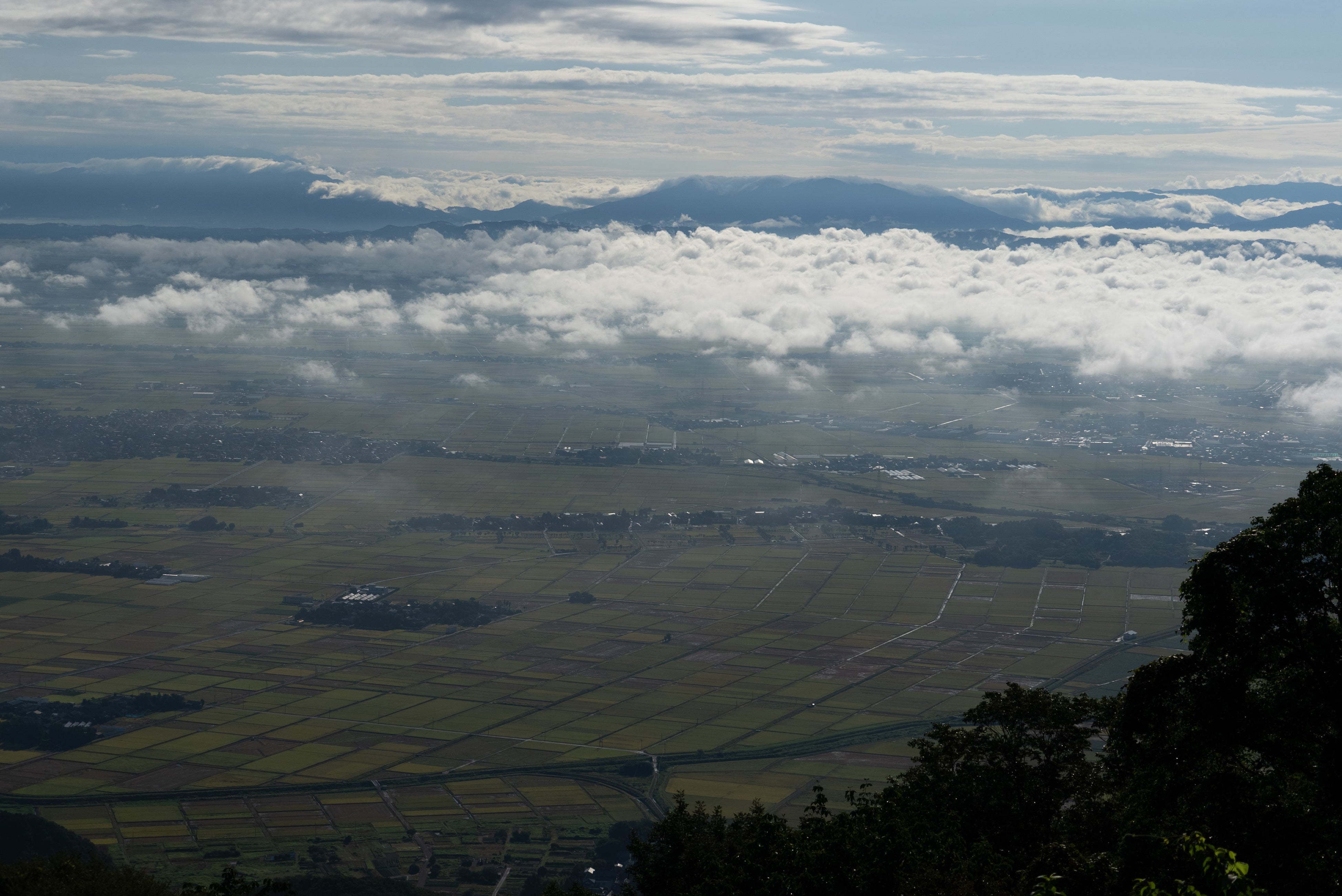 頂上から見える広大な越後平野