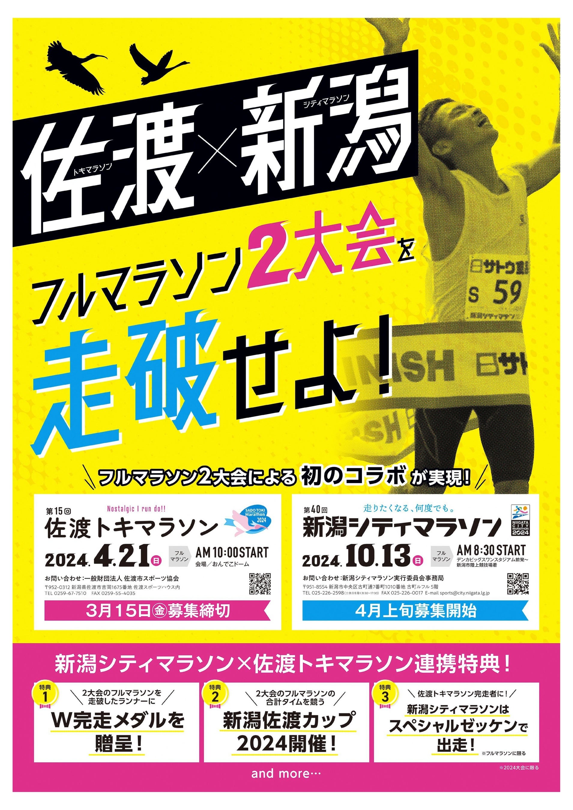 第40回新潟シティマラソン2024開催日決定＆新潟佐渡連携企画