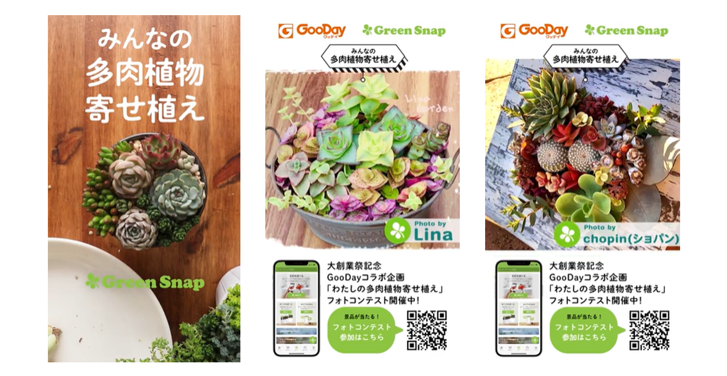 サイネージ動画イメージ（中央、右は動画内に実際に登場したUGC）