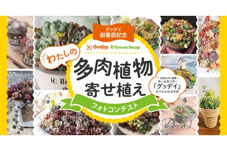 ライフスタイル提案のコンパクトな都市型ホームセンターへ グッデイ姪浜店が生まれ変わります 嘉穂無線ホールディングス株式会社のプレスリリース ライフスタイル提案のコンパクトな都市型ホームセンターへ グッデイ姪浜店が生まれ変わります 嘉穂無線ホールディングス株式会社のプレスリリース