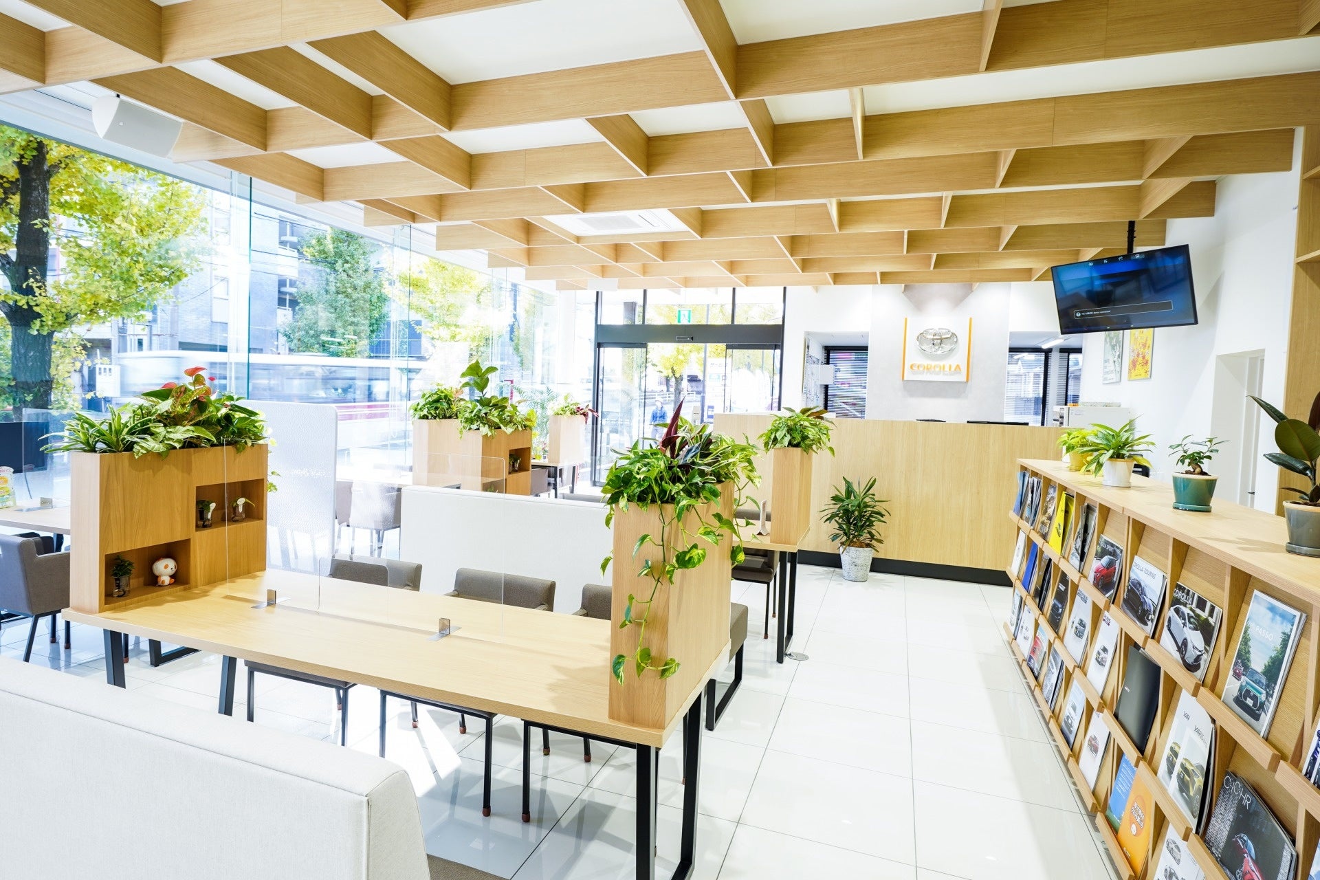 オフィスグリーン施工例　自動車販売会社様