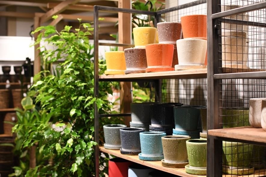 if green...store 天神ソラリアプラザ5F