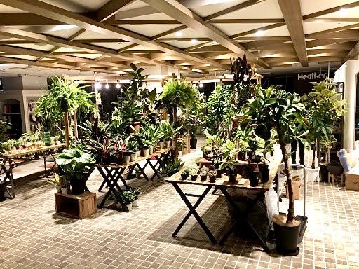 ifgreen...store　天神ソラリアプラザ5F