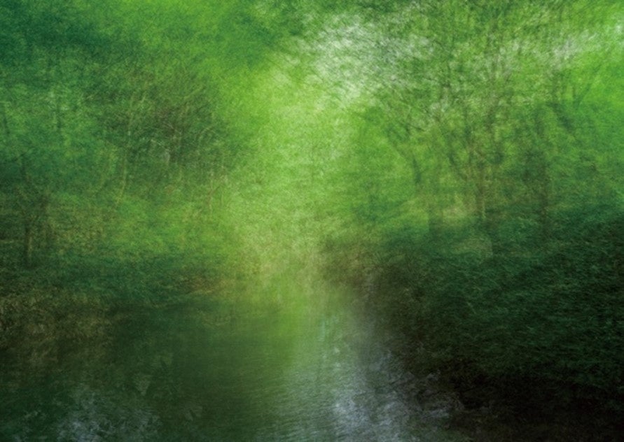 6% ©︎ Yasuo Kiyonaga