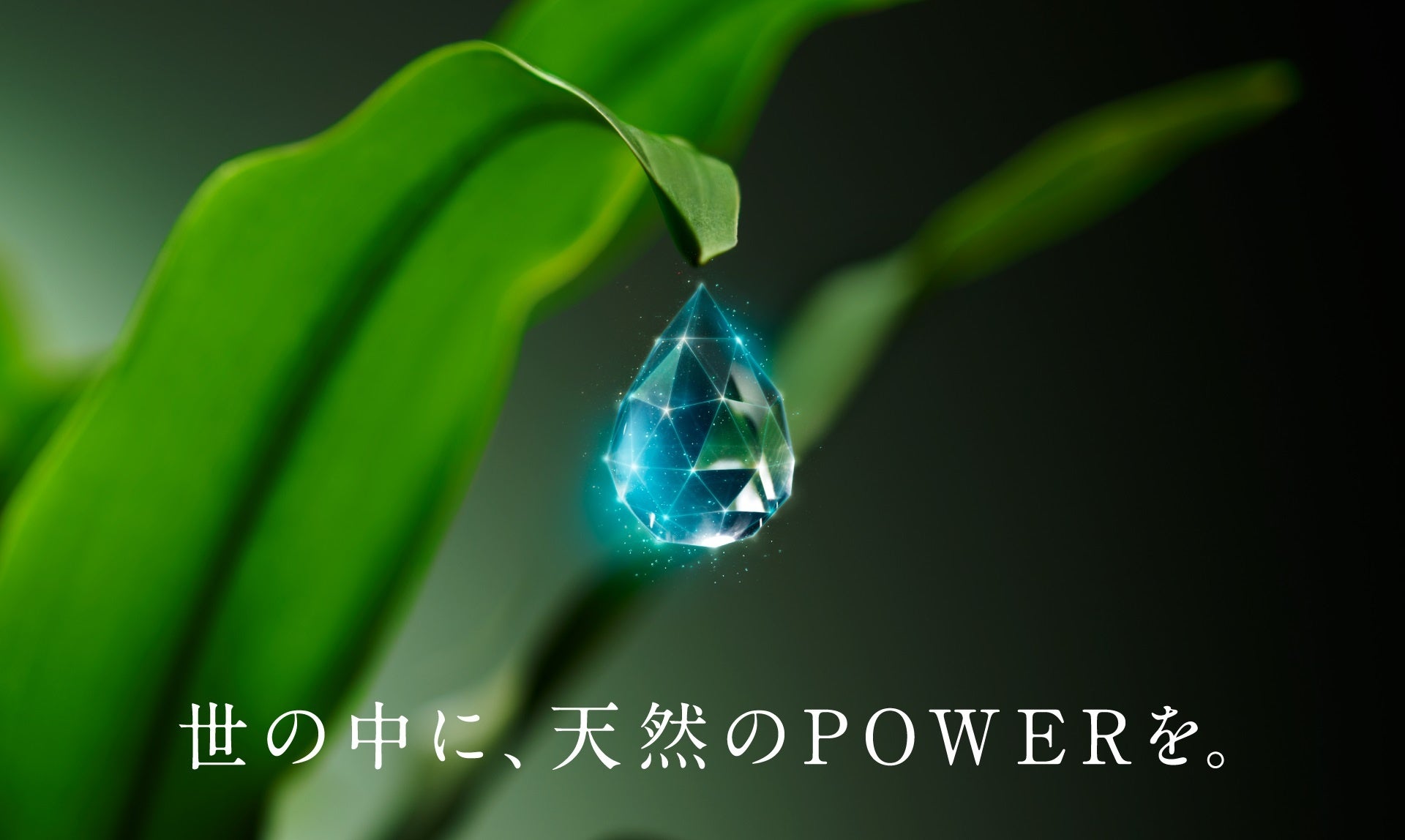 広告イメージ「世の中に、天然のＰＯＷＥＲを。」