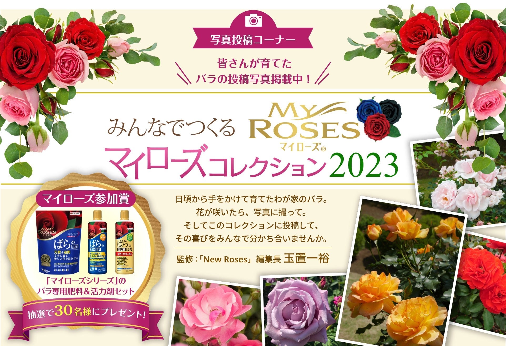 ケース販売】住友化学園芸 ﾏｲﾛｰｽﾞばらの肥料 450g×24（住友化学