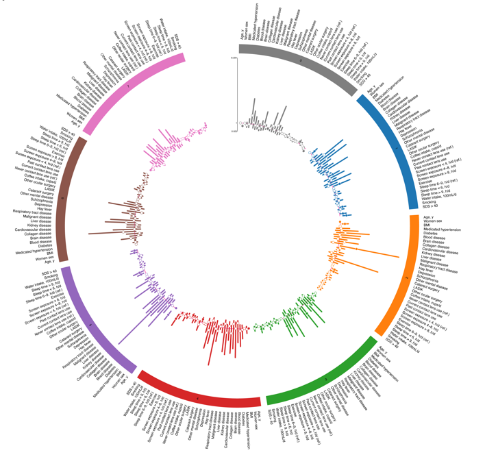 図5： 層別化された各クラスターの特徴の視覚化 各クラスターの特徴的な因子(円の外側にそれぞれの因子を記載)を視覚化した。 中央の棒グラフはオッズ比(95%信頼区間)を表す。
