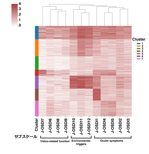 図3： 層別化された各クラスターの多様なドライアイ症状の視覚化 階層型クラスタリングを用いて層別化された各クラスターの多様なドライアイ症状を視覚化した。X軸はJ-OSDIの12項目スコア、Y軸は層別化された各クラスターを表す。