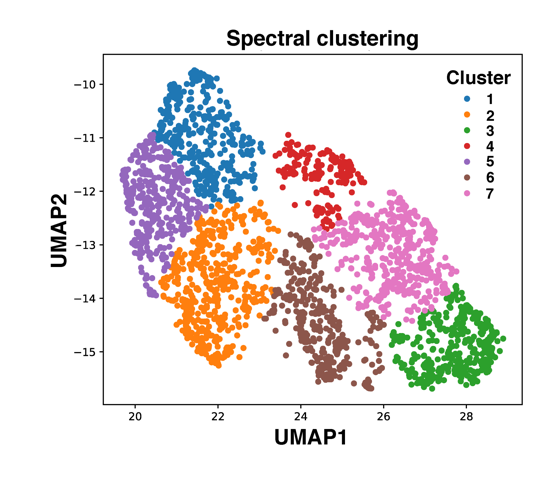 図2： ドライアイの多様な症状の層別化 次元削減アルゴリズムUMAPを用いてドライアイの多様な症状を7つのクラスターに層別化した。 UMAP：Uniform Manifold Approximation and Projection