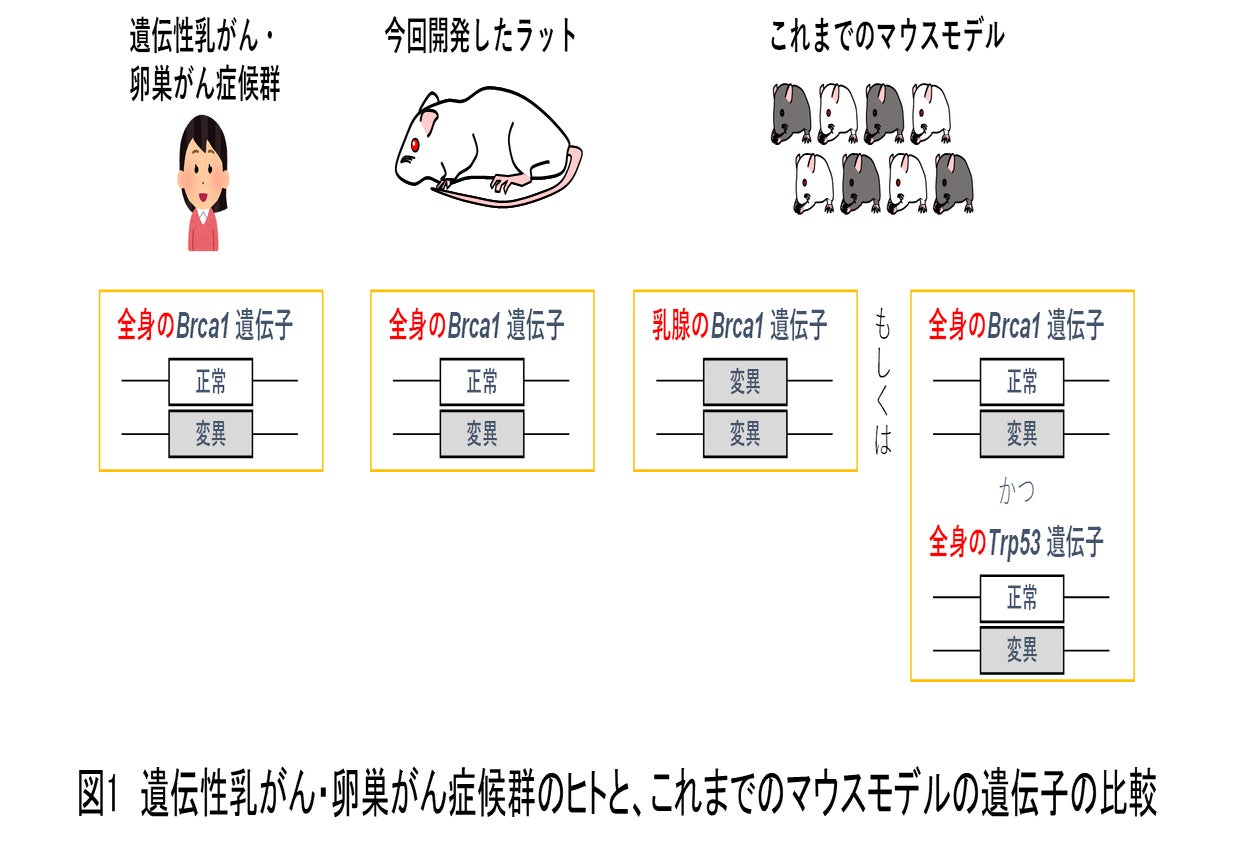 がんの発症リスクを減らすことはできますか?