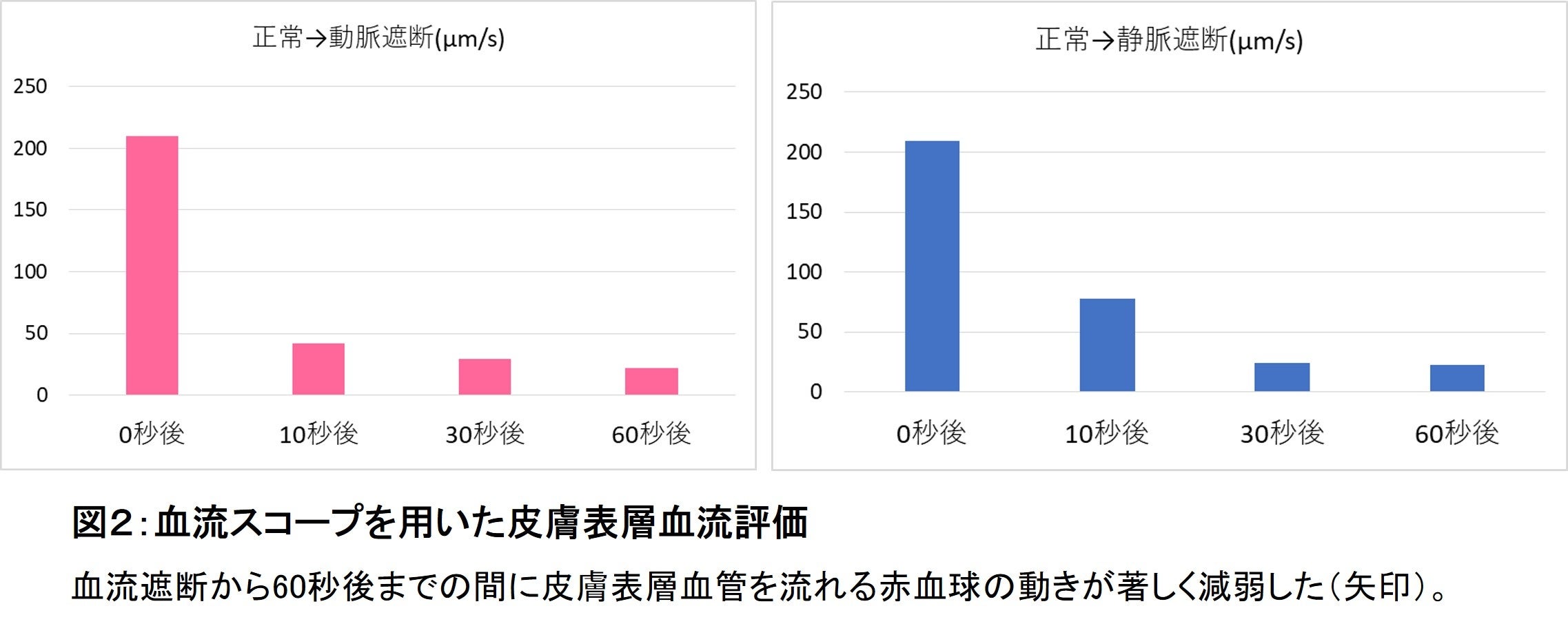 図２：血流スコープを用いた皮膚表層血流評価