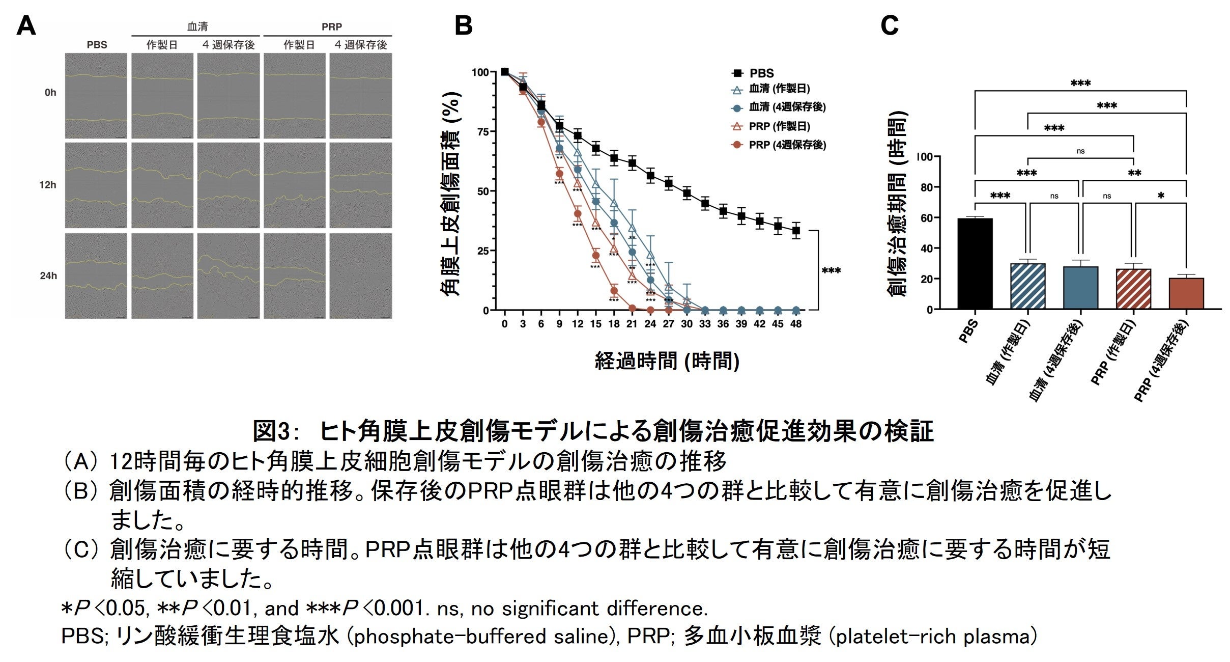 血小板生物学 hq720.jpg?sqp=-