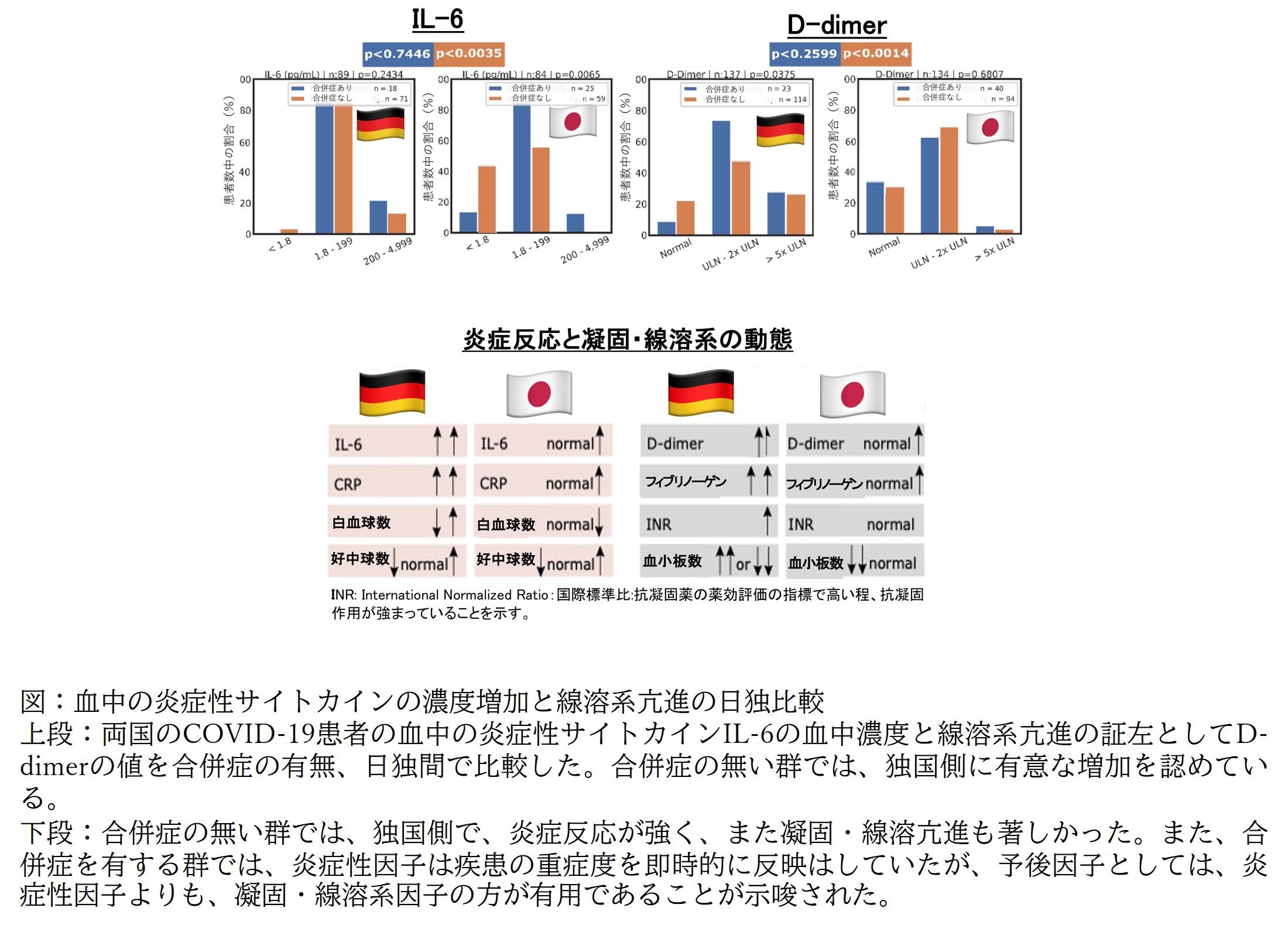 図：血中の炎症性サイトカインの濃度増加と線溶系亢進の日独比較