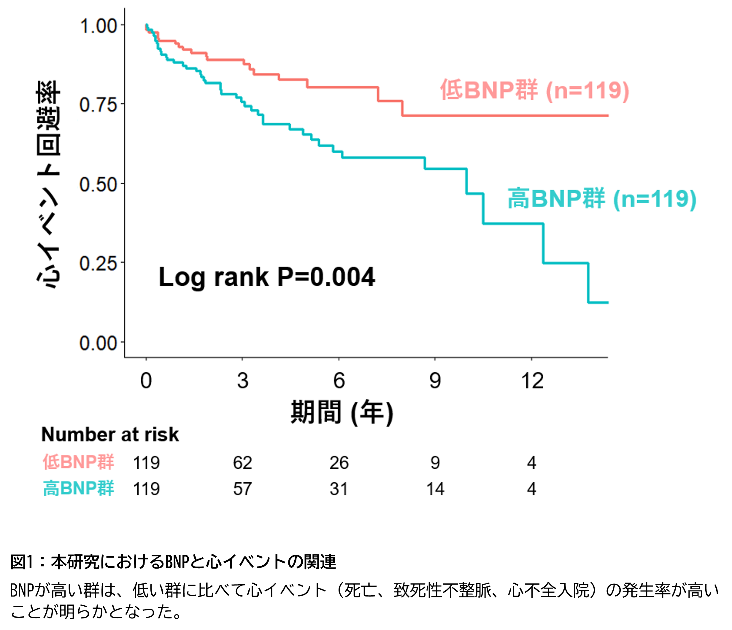 図1：本研究におけるBNPと心イベントの関連