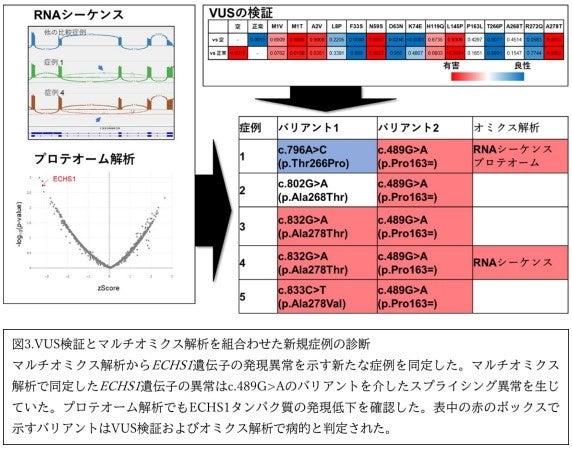 Urology View 6ー5 特集:知っておきたい泌尿器科領域における染色体異常，遺伝性疾 女性に特有の泌尿器科疾患｜医療法人伯鳳会 大阪中央病院
