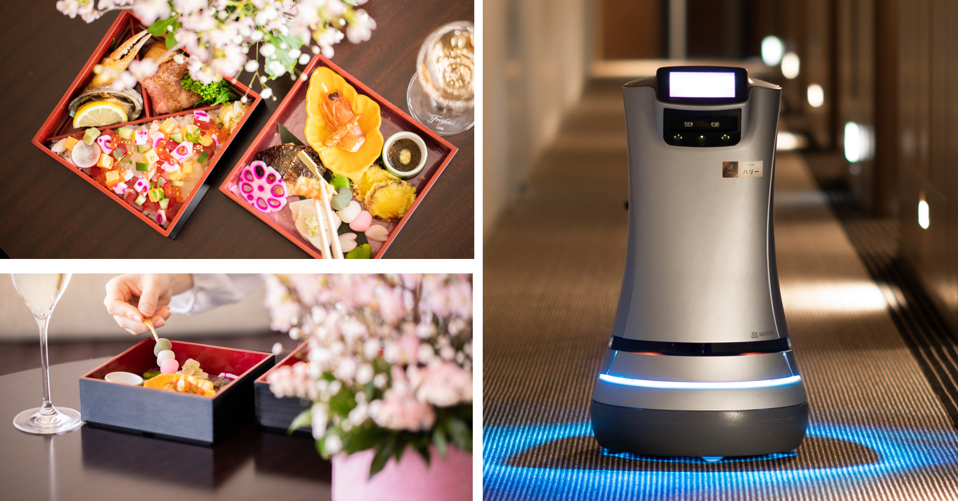 桜ランチとデリバリーロボット HARRY