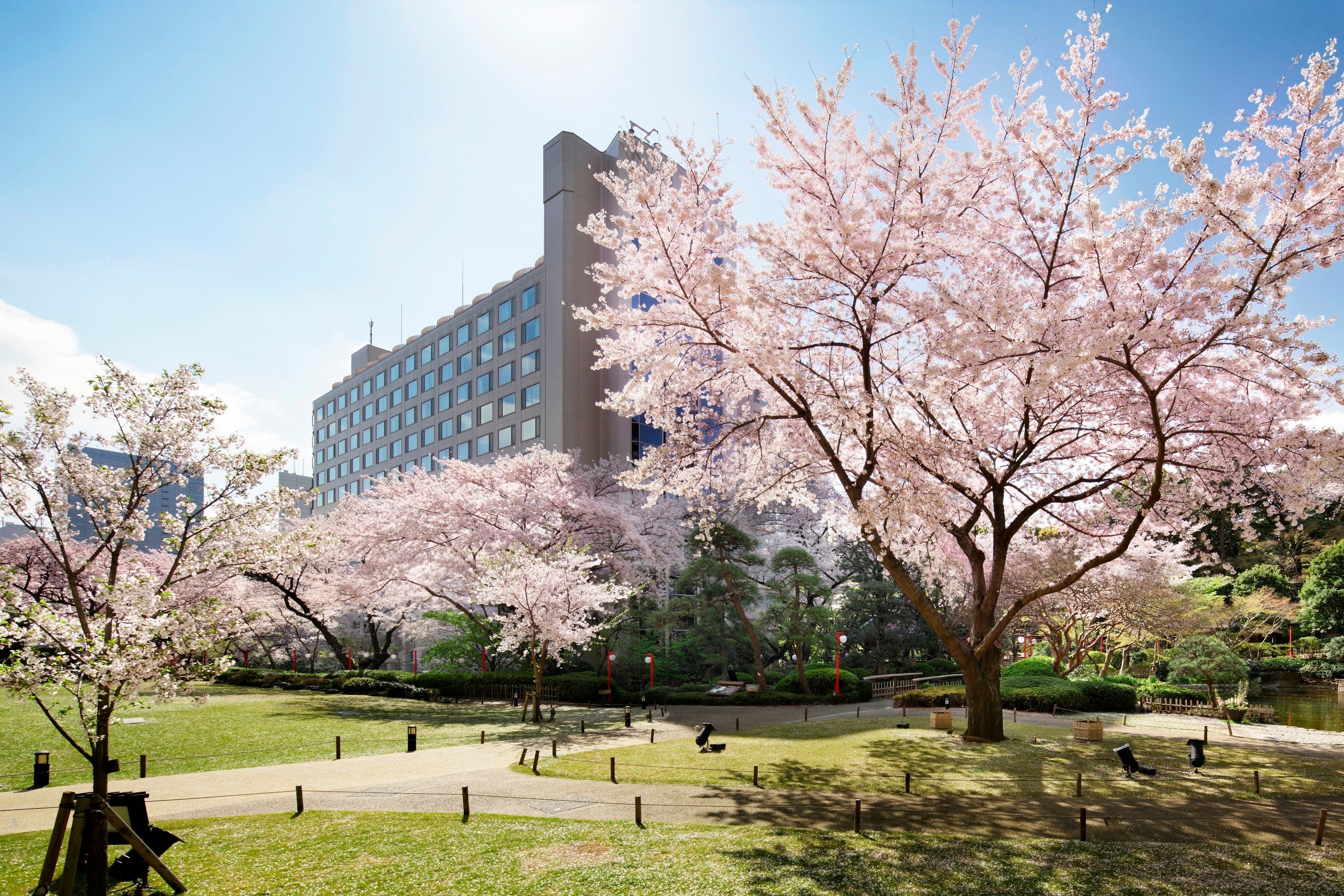 17種類約210本の桜