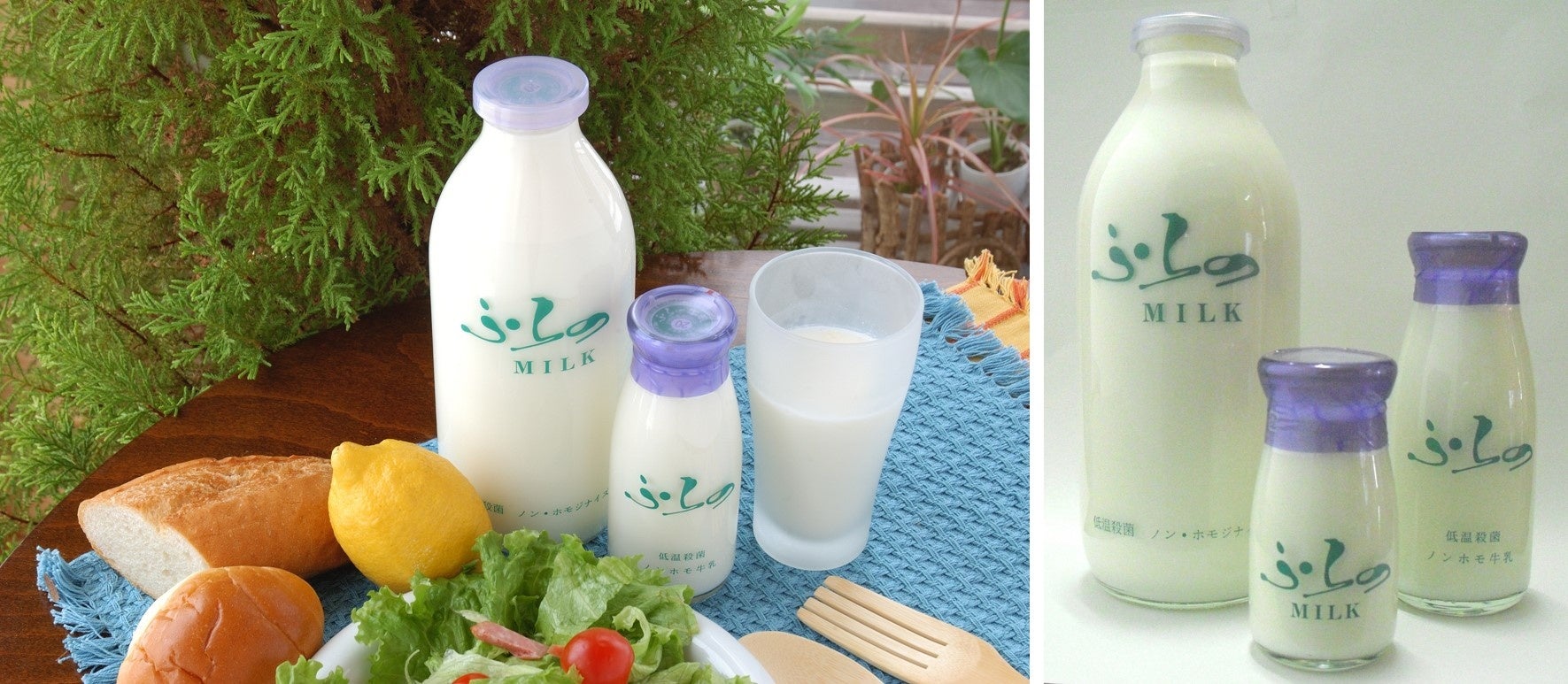 北海道富良野産の「ふらの牛乳」