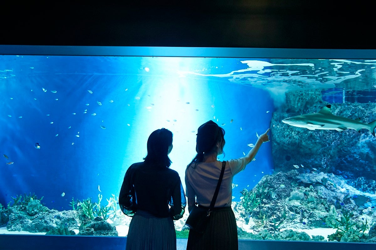 ホテル敷地内のエンターテインメント施設でゆったり遊べる