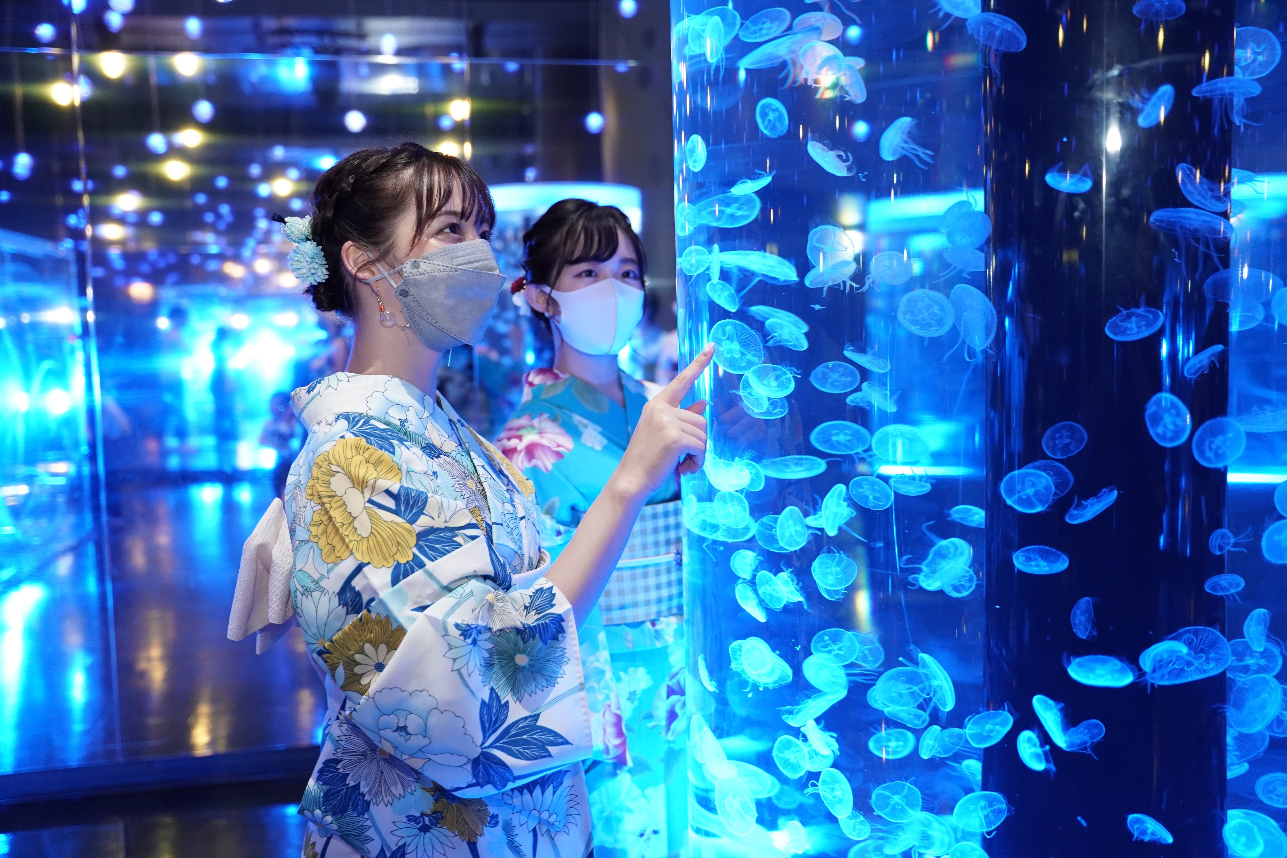 水族館のSNS映えスポットを浴衣で巡る