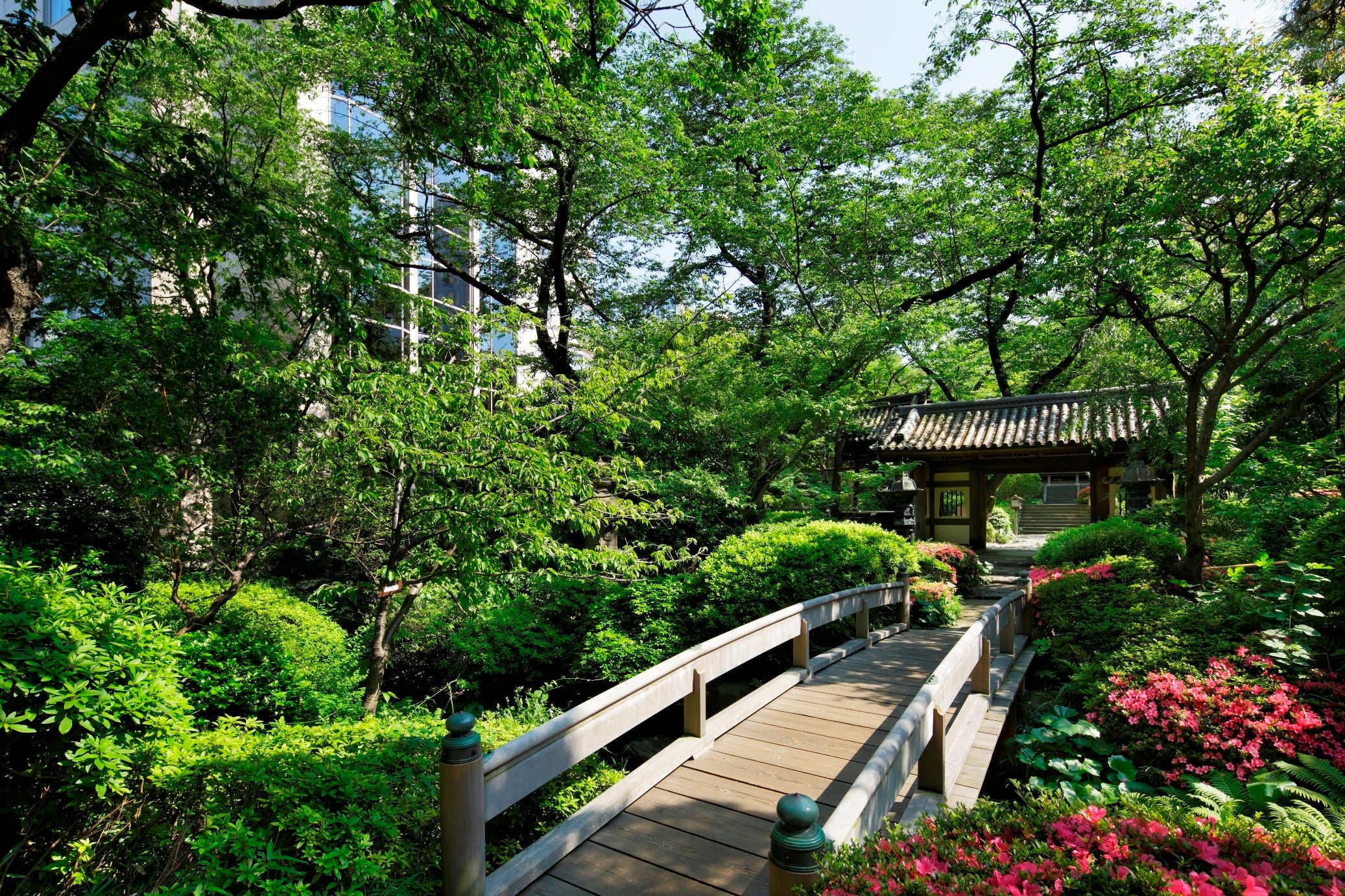 約2万平米の日本庭園