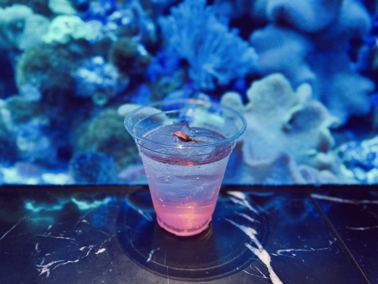 水族館内のコーラルカフェバーにて楽しめるさくらスカッシュ（品川プリンスホテル）