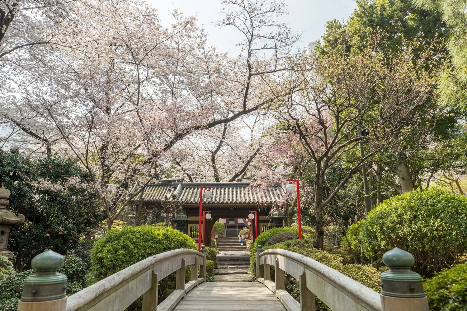 大切な方と、心と体が満たされる「高輪時間」を。