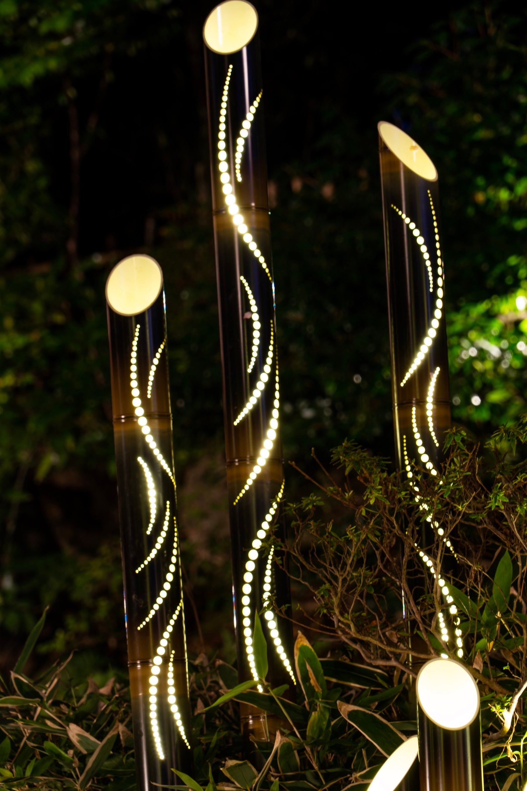 黒竹の竹あかり