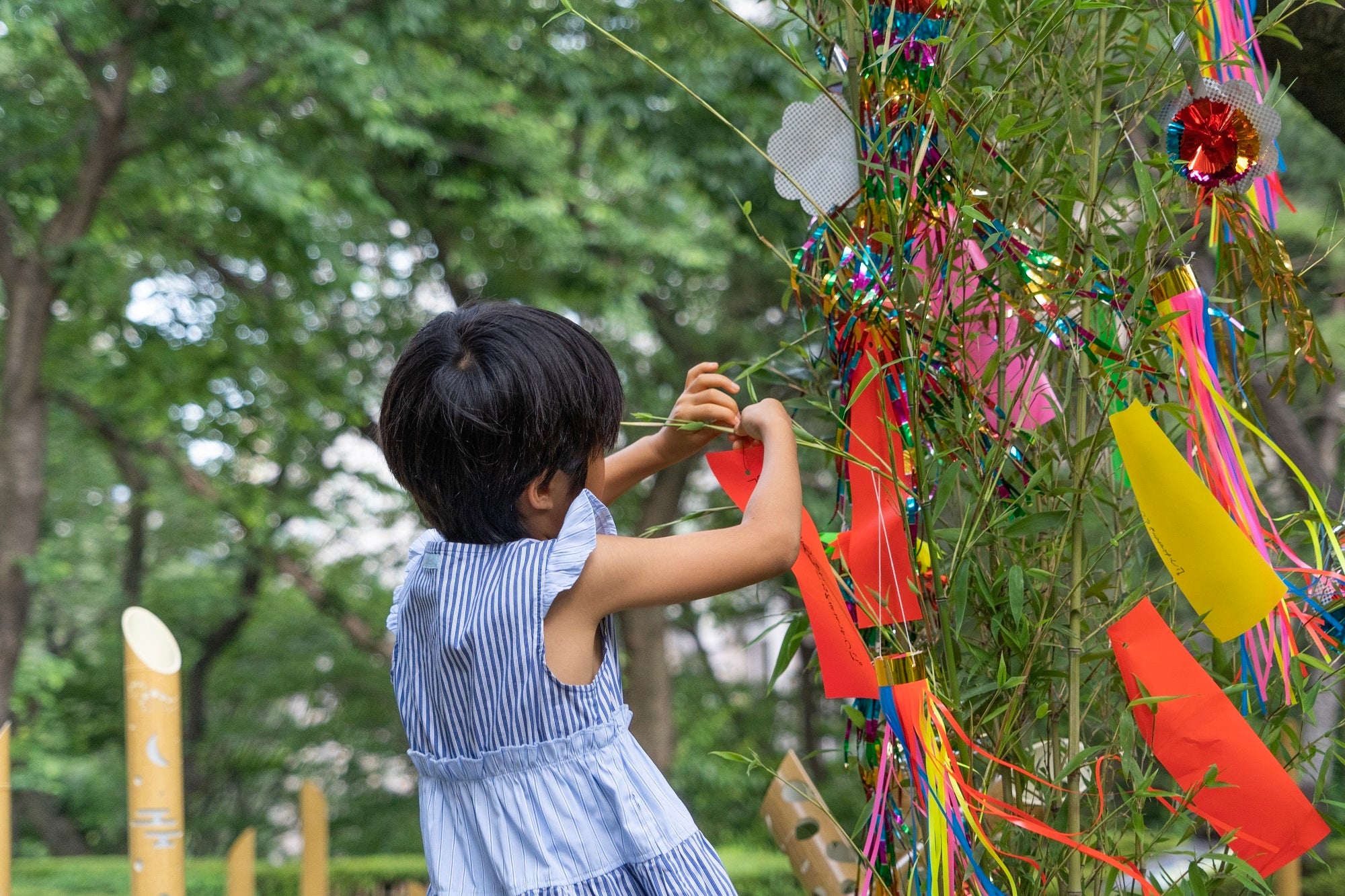 想いを込めた短冊を笹飾りへ