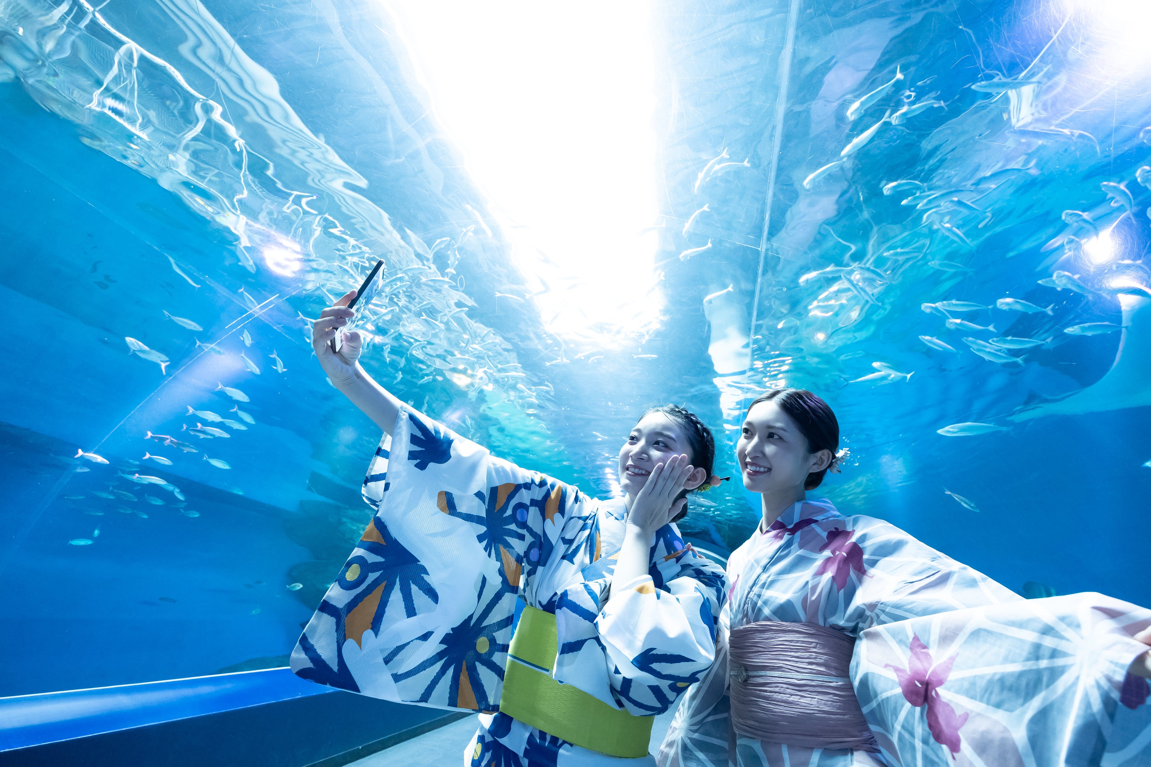 ホテル敷地内にある水族館の散策もおすすめ（品川プリンスホテル）※ステイプランには含まれておりません