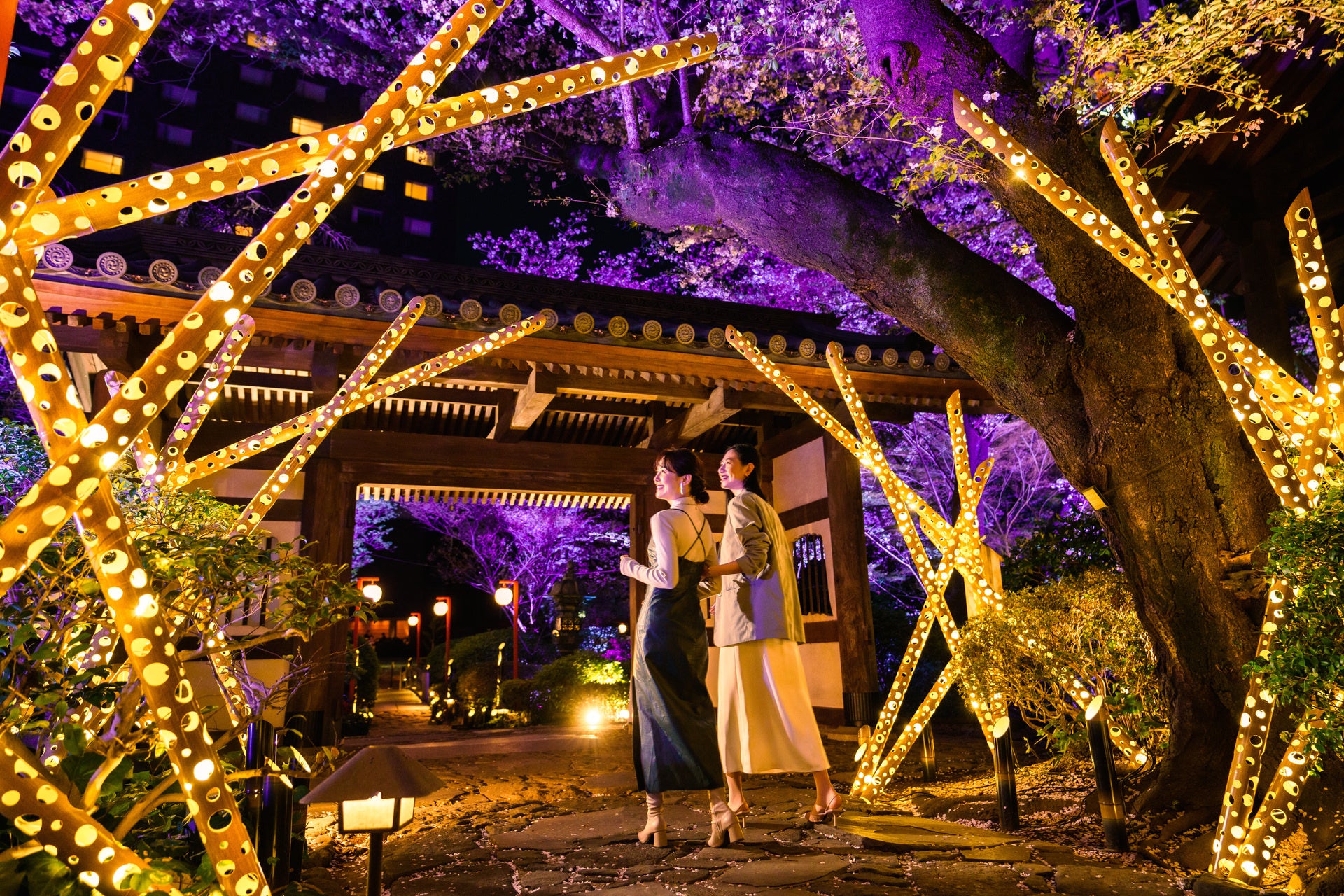 桜咲く日本庭園の「竹あかり」