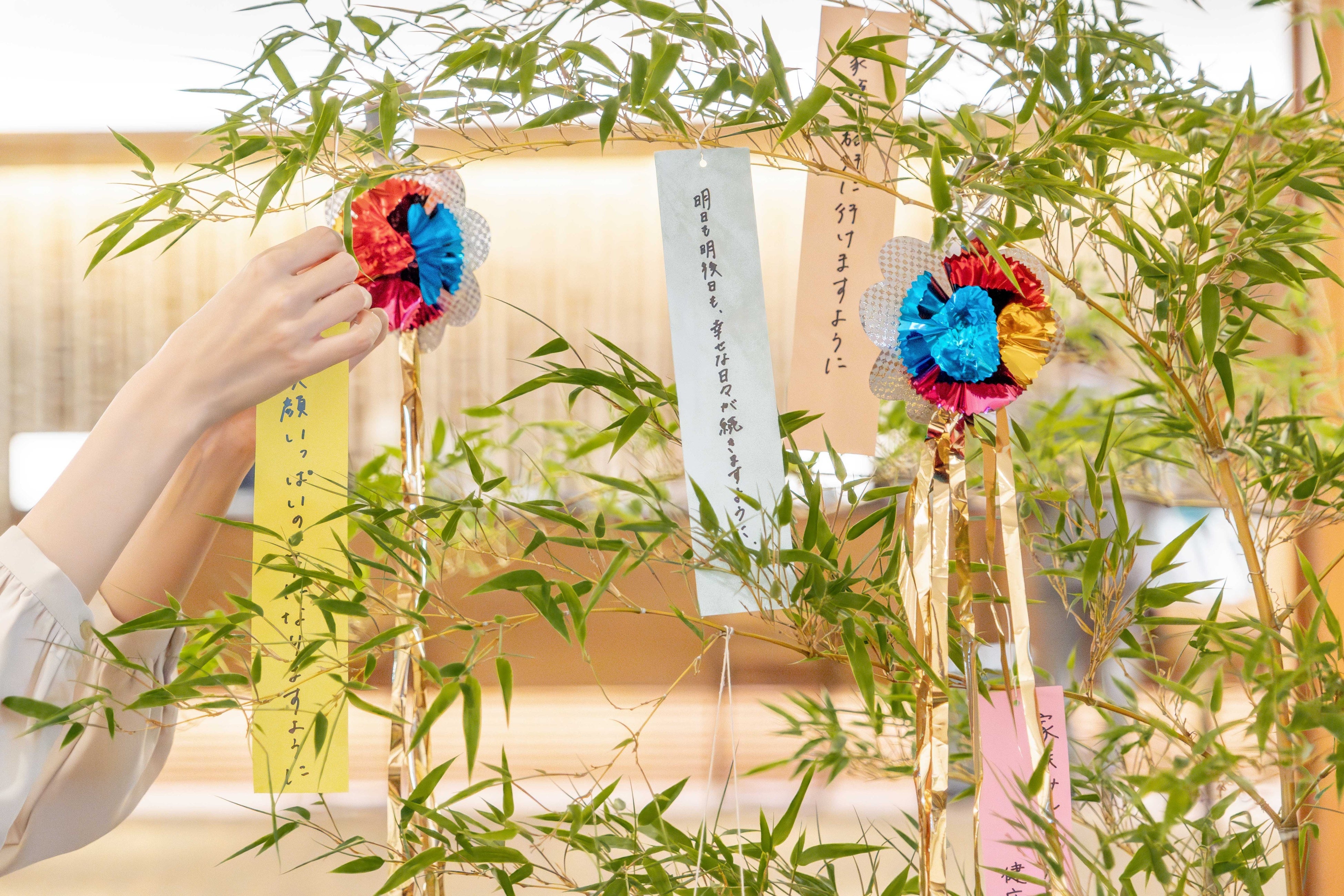 ロビーの笹飾りに願いを込めた短冊を飾る