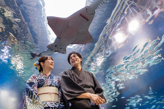 水族館でひんやり、はんなりと。夏の風情を愉しむ「浴衣で涼やか夏旅プラン」を販売 水族館でひんやり、はんなりと。夏の風情を愉しむ「浴衣で涼やか夏旅プラン」を販売