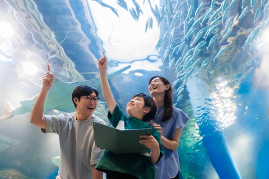 【品川プリンスホテル】~ホテルステイ×自由研究~水族館の飼育スタッフから学ぶSDGsとスペシャルゼリー(餌)作り 【品川プリンスホテル】~ホテルステイ×自由研究~水族館の飼育スタッフから学ぶSDGsとスペシャルゼリー(餌)作り
