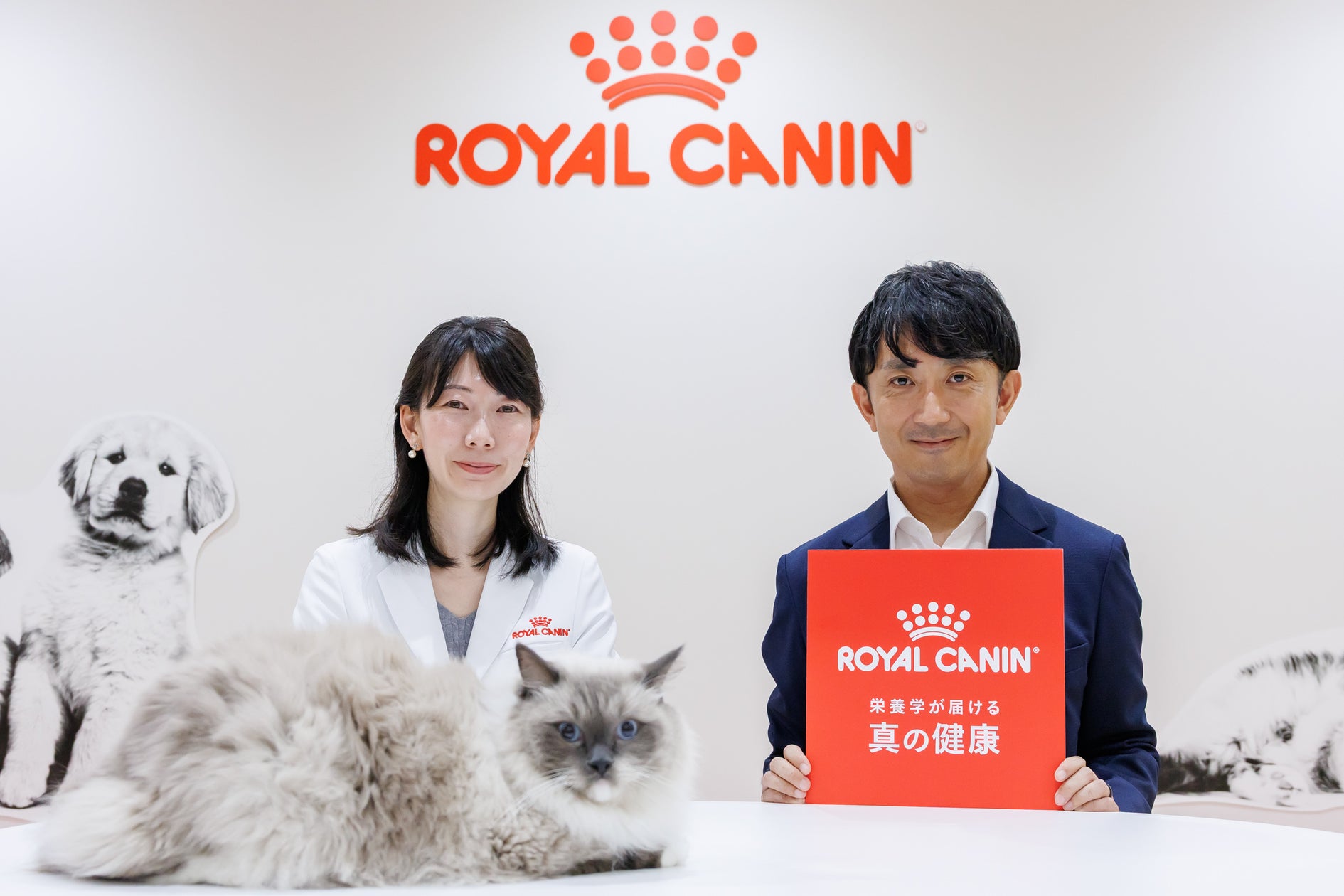 【ヒルトン成田】十勝しほろ牛や海鮮丼、白いスイーツで、北国の冬を味わう 「北のごちそう巡り&ピュアホワイト・スイーツビュッフェ」を11月1日(日)より開催