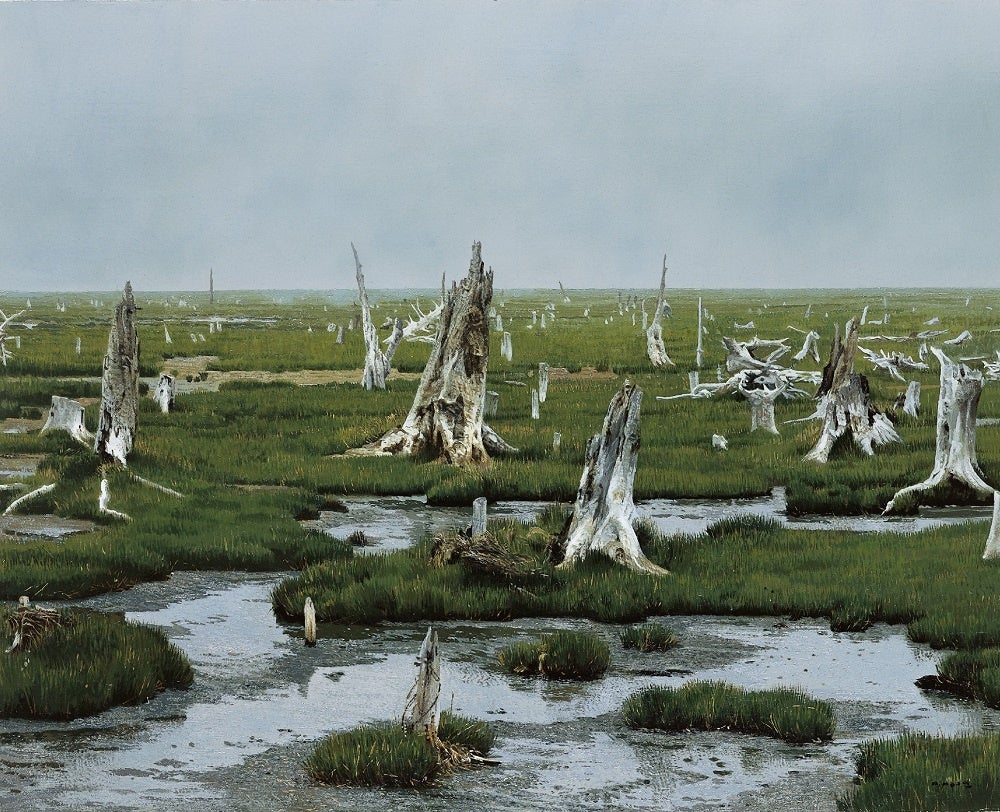 北海道在住で日本を代表する写実画家・野田弘志の画業の全容に迫る回顧