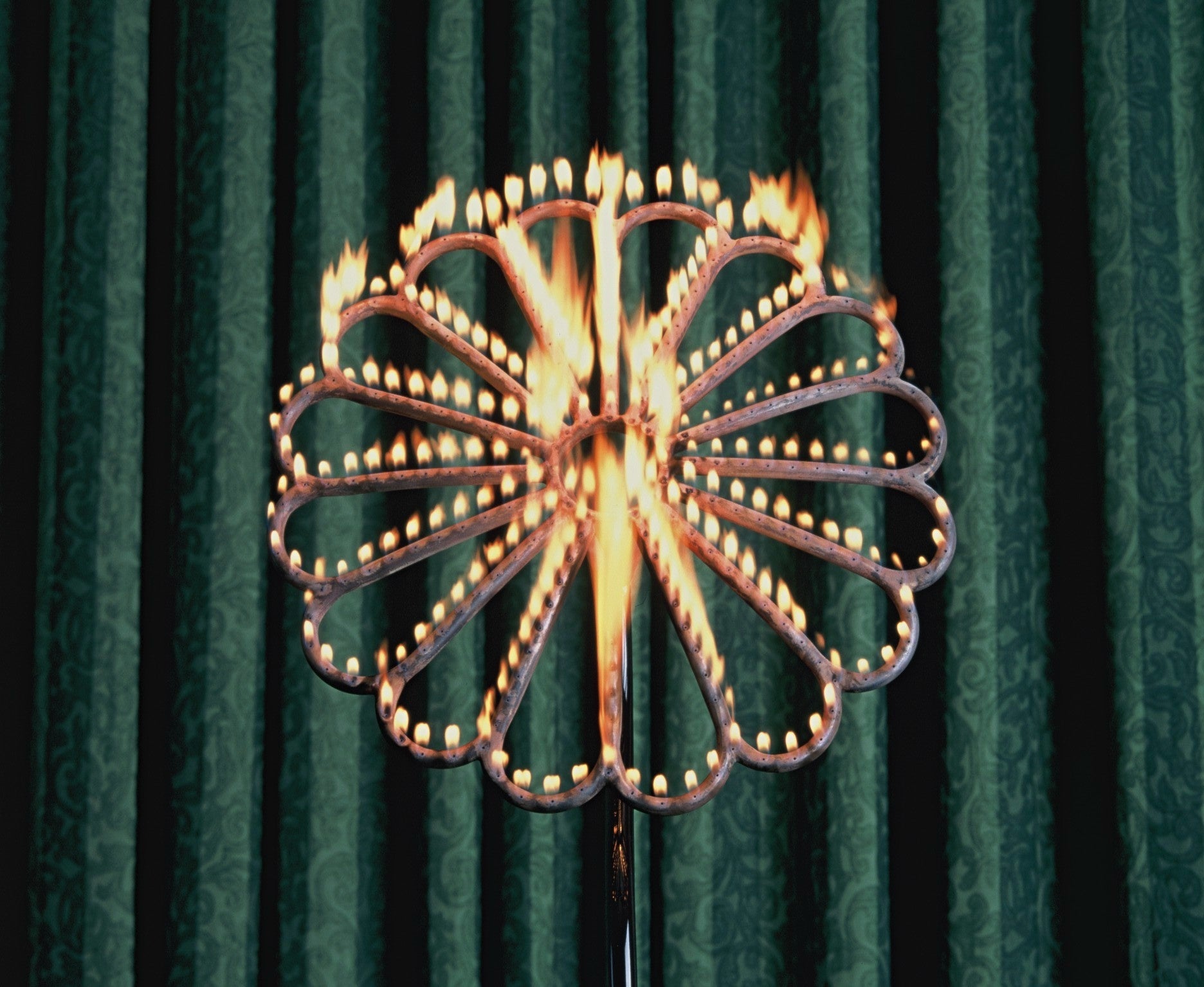 「花ガス」の点灯実演