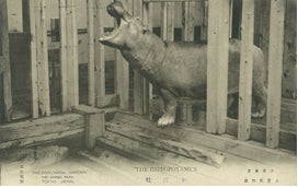 ガスミュージアムで開催される特別展「動物園!?」 ガスミュージアムで開催される特別展「動物園!?」