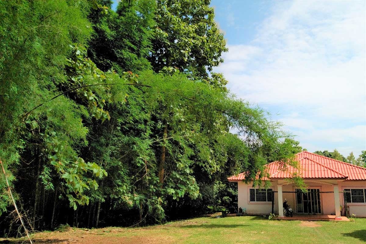 集会所のような場所に集まり、作成しています。