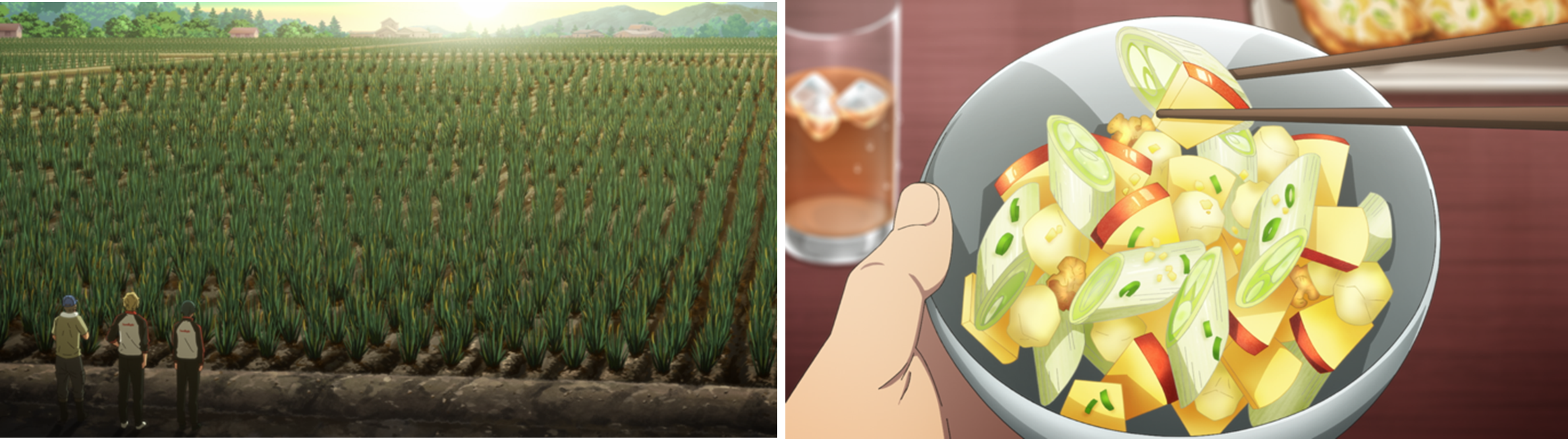 左：深谷ねぎ畑、　右：ねぎ農家で提供されたりんごとネギのサラダ