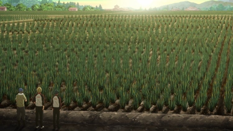 ©Team RMC／サンライトビバレッジ広報部　深谷市内ネギ畑