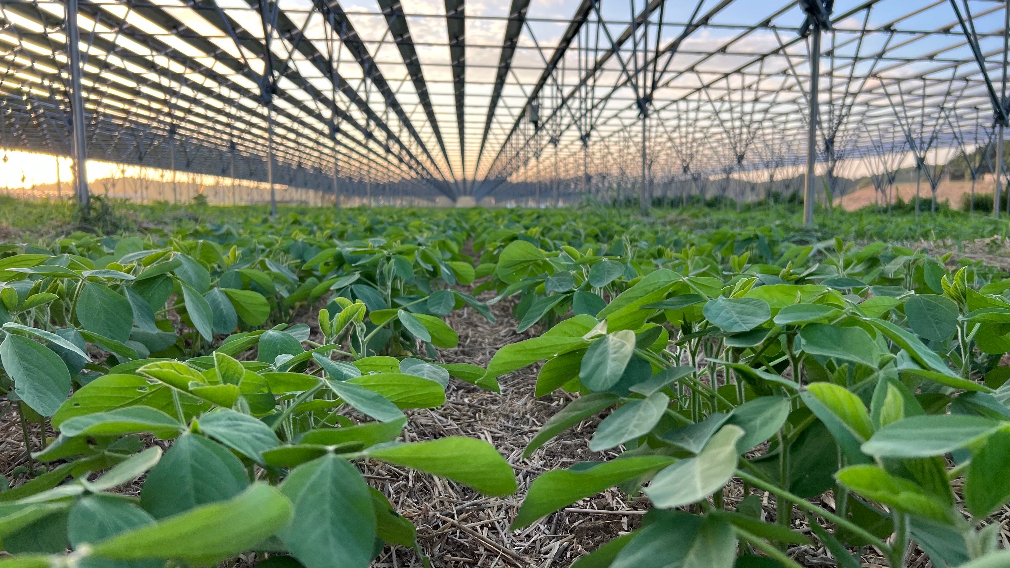 (C)2024Patagonia, Inc.