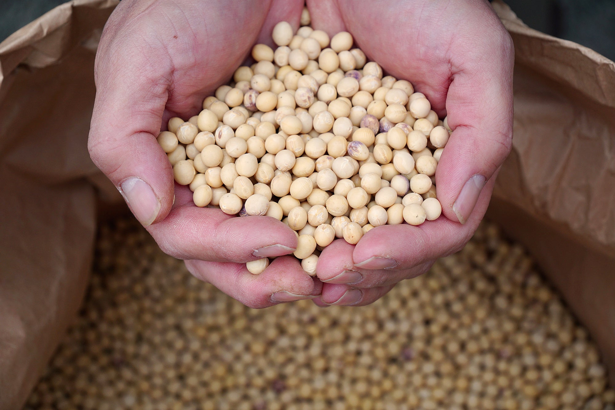 (C)2024Patagonia, Inc.