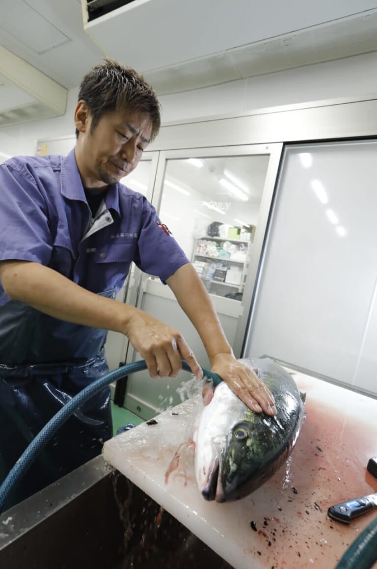 ペットボトルで津本式血抜き 津本式家庭用魚仕立てノズル で魚が劇的に美味しくなる 4 水 発売 株式会社 内外出版社のプレスリリース ペットボトルで津本式血抜き 津本式家庭用魚仕立てノズル で魚が劇的に美味しくなる 4 水 発売 株式会社 内外出版社のプレスリリース