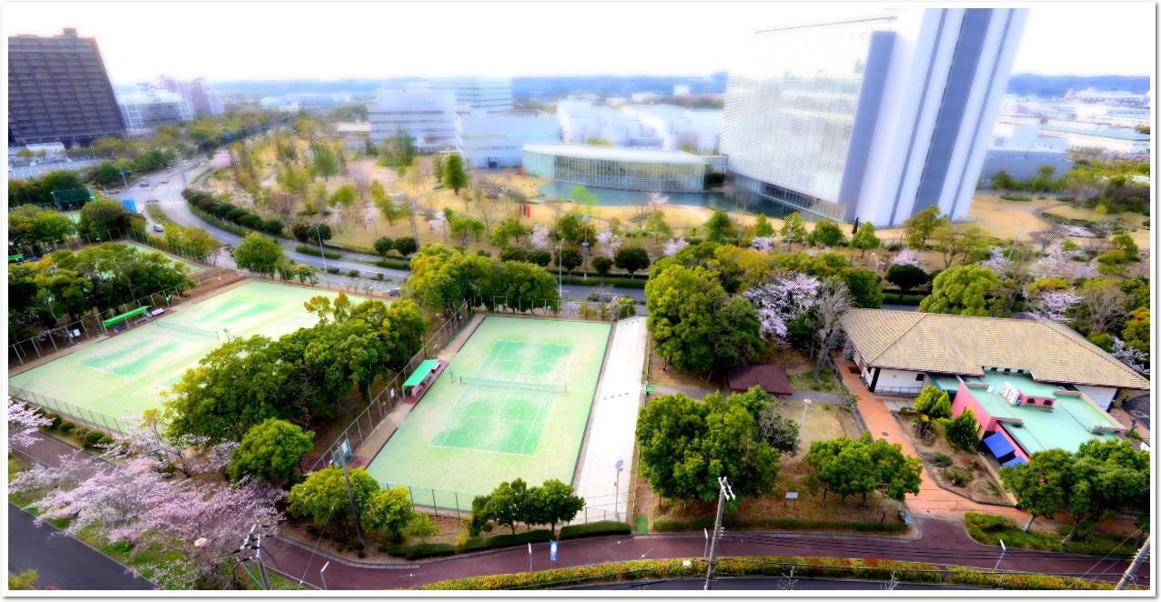 西神ニュータウンテニスガーデンは地域の皆さまに愛されて開設40周